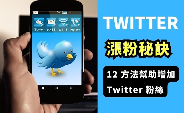 购买Twitter粉丝，让你的品牌在社交媒体上脱颖而出！