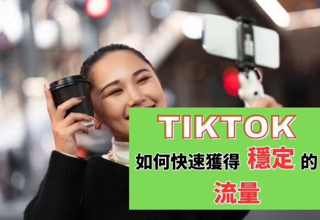 tiktok刷粉平台