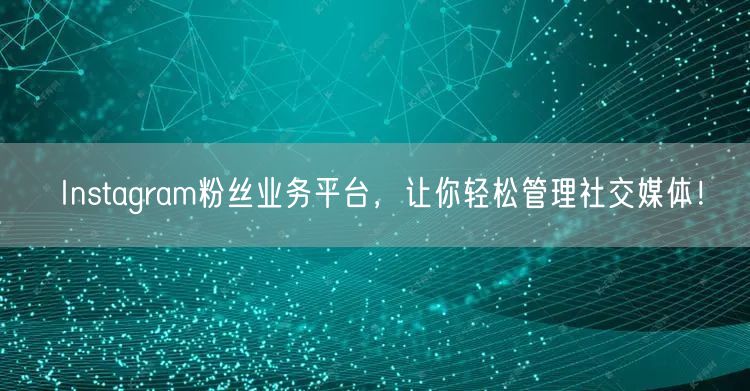 Instagram粉丝业务平台，让你轻松管理社交媒体！