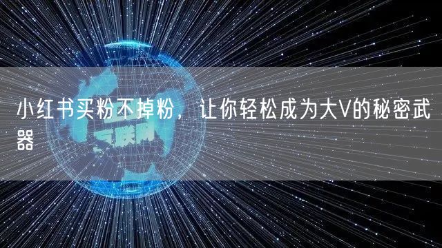 小红书买粉不掉粉，让你轻松成为大V的秘密武器