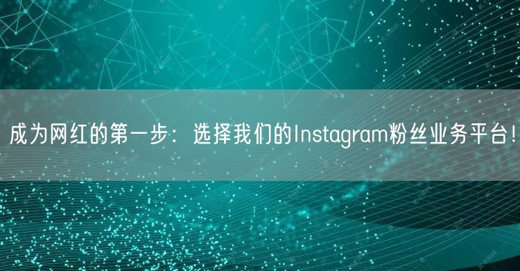 成为网红的第一步：选择我们的Instagram粉丝业务平台！