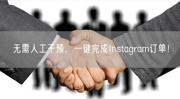 无需人工干预，一键完成Instagram订单！