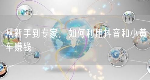 从新手到专家，如何利用抖音和小黄车赚钱