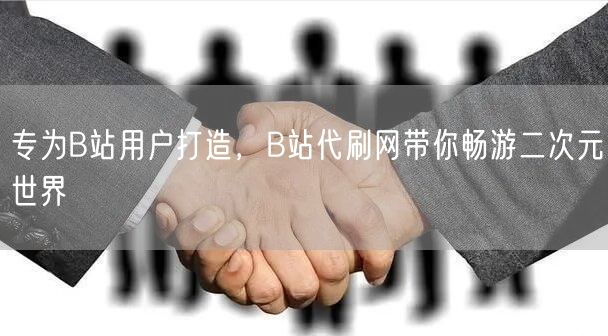 专为B站用户打造，B站代刷网带你畅游二次元世界