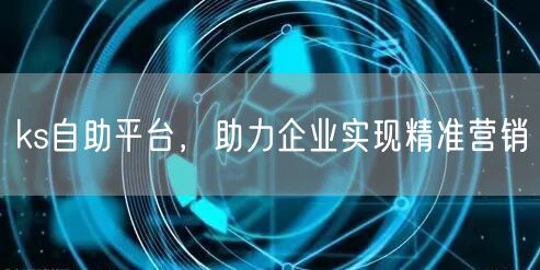 ks自助平台，助力企业实现精准营销