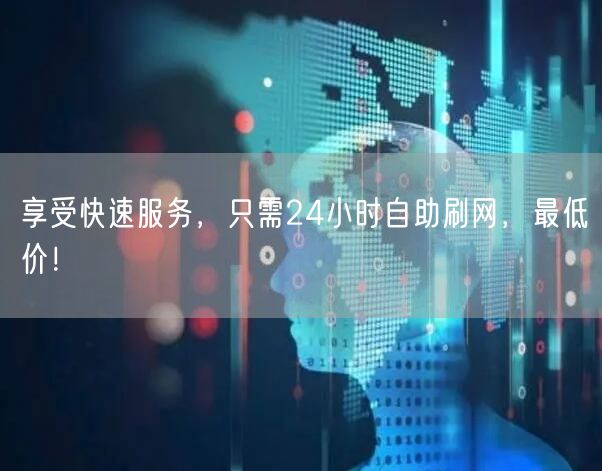 享受快速服务，只需24小时自助刷网，最低价！