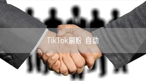 TikTok刷粉 自助