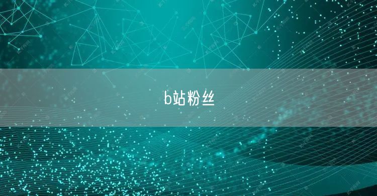 b站粉丝