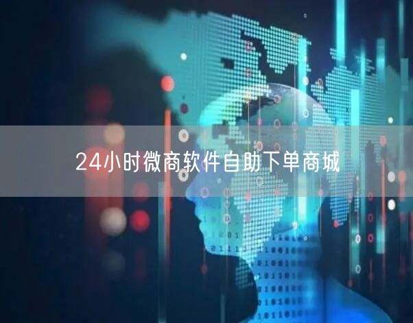 24小时微商软件自助下单商城