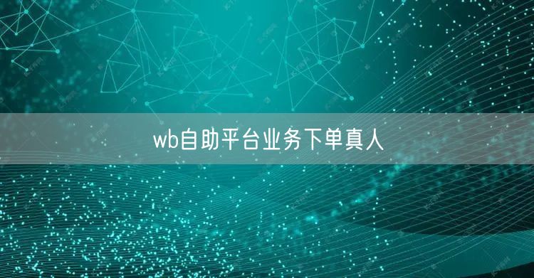 wb自助平台业务下单真人