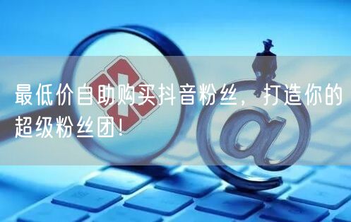 最低价自助购买抖音粉丝，打造你的超级粉丝团！
