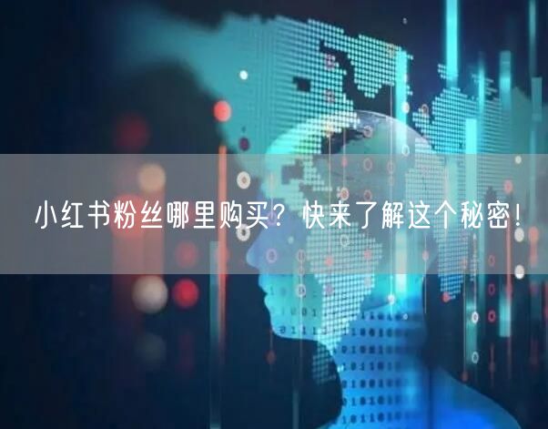 小红书粉丝哪里购买？快来了解这个秘密！