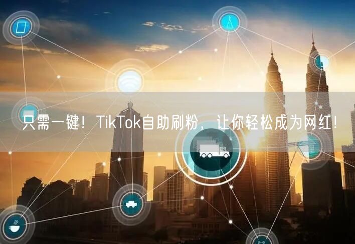 只需一键！TikTok自助刷粉，让你轻松成为网红！