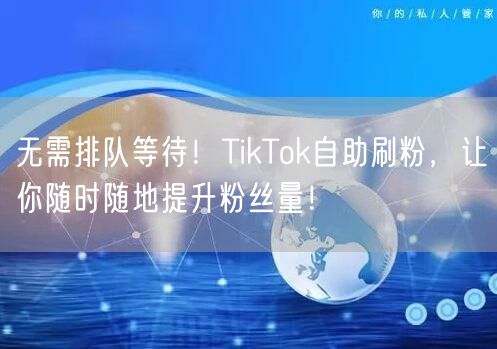 无需排队等待！TikTok自助刷粉，让你随时随地提升粉丝量！