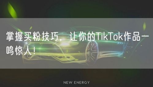 掌握买粉技巧，让你的TikTok作品一鸣惊人！