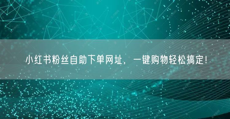 小红书粉丝自助下单网址，一键购物轻松搞定！