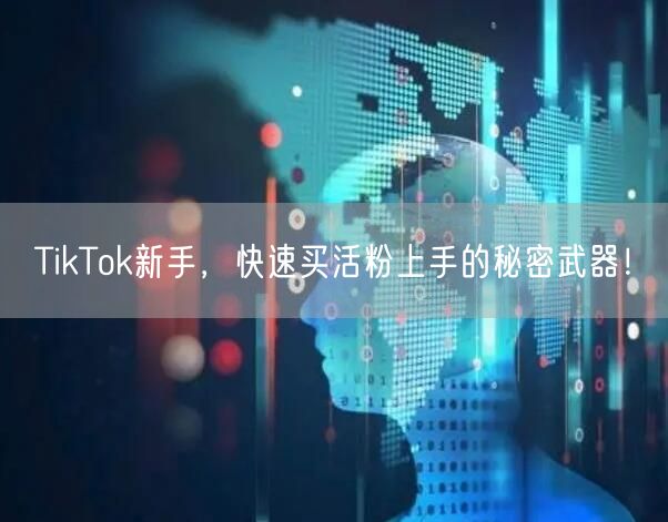 TikTok新手，快速买活粉上手的秘密武器！