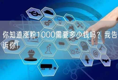 你知道涨粉1000需要多少钱吗？我告诉你！