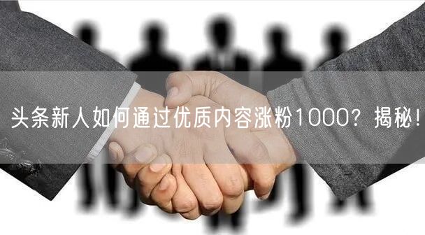 头条新人如何通过优质内容涨粉1000？揭秘！