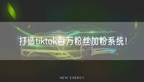 打造tiktok百万粉丝加粉系统！