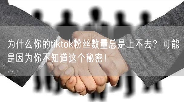 为什么你的tiktok粉丝数量总是上不去？可能是因为你不知道这个秘密！