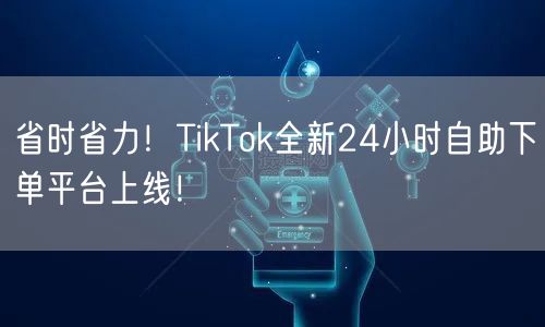 省时省力！TikTok全新24小时自助下单平台上线！