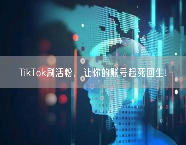 TikTok刷活粉，让你的账号起死回生！