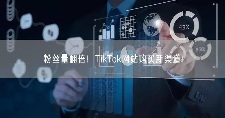 粉丝量翻倍！TikTok网站购买新渠道！