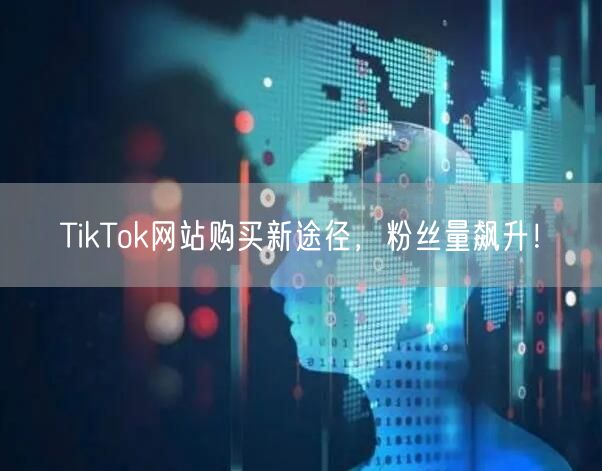 TikTok网站购买新途径，粉丝量飙升！