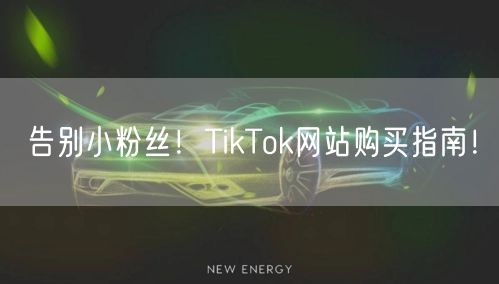 告别小粉丝！TikTok网站购买指南！