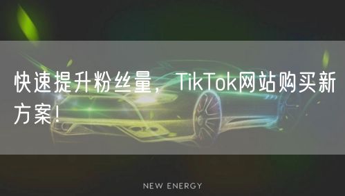 快速提升粉丝量，TikTok网站购买新方案！