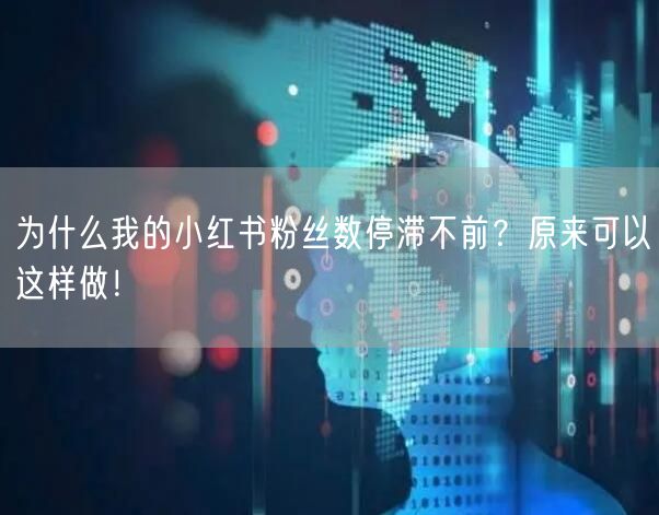 为什么我的小红书粉丝数停滞不前？原来可以这样做！