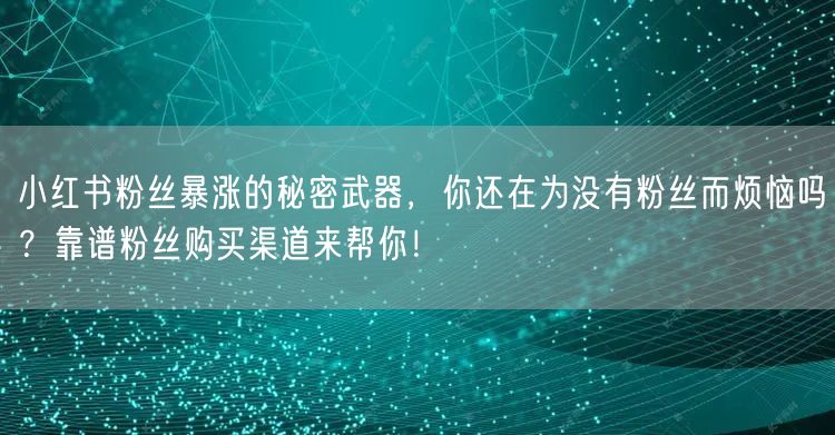 小红书粉丝暴涨的秘密武器，你还在为没有粉丝而烦恼吗？靠谱粉丝购买渠道来帮你！