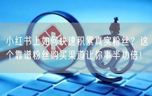 小红书上如何快速积累真实粉丝？这个靠谱粉丝购买渠道让你事半功倍！