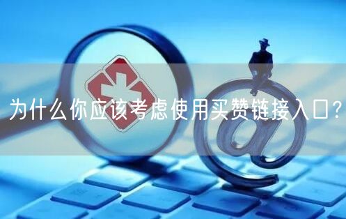 为什么你应该考虑使用买赞链接入口？