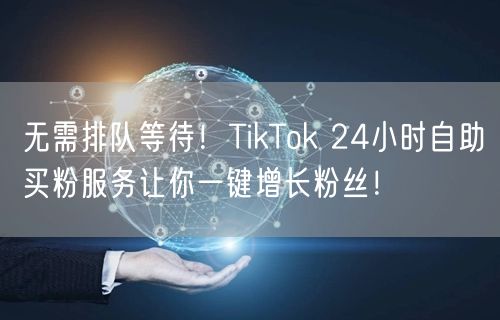 无需排队等待！TikTok 24小时自助买粉服务让你一键增长粉丝！