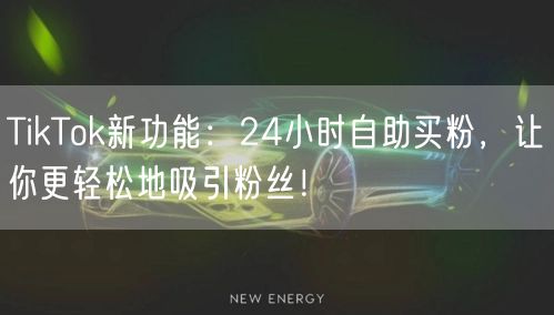 TikTok新功能：24小时自助买粉，让你更轻松地吸引粉丝！