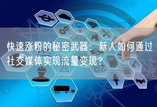 快速涨粉的秘密武器：新人如何通过社交媒体实现流量变现？