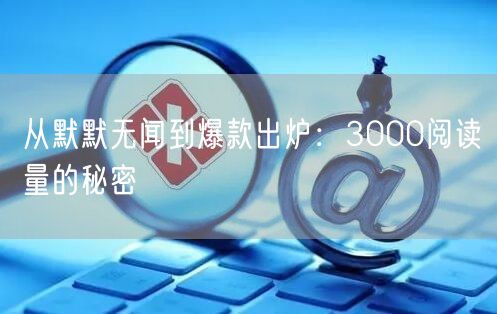 从默默无闻到爆款出炉：3000阅读量的秘密