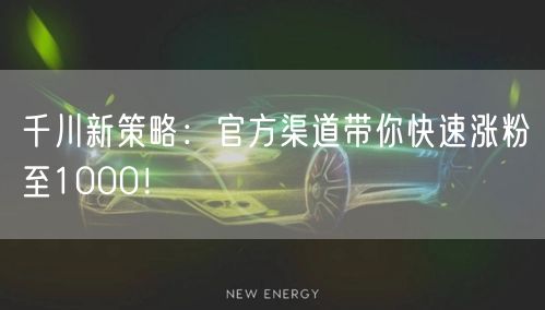 千川新策略：官方渠道带你快速涨粉至1000！