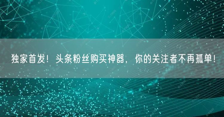 独家首发！头条粉丝购买神器，你的关注者不再孤单！