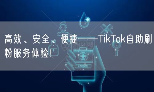 高效、安全、便捷——TikTok自助刷粉服务体验！