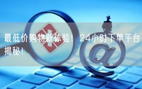 最低价购物新体验！24小时下单平台揭秘！