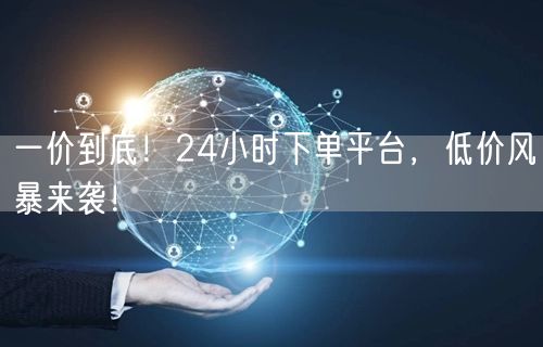 一价到底！24小时下单平台，低价风暴来袭！