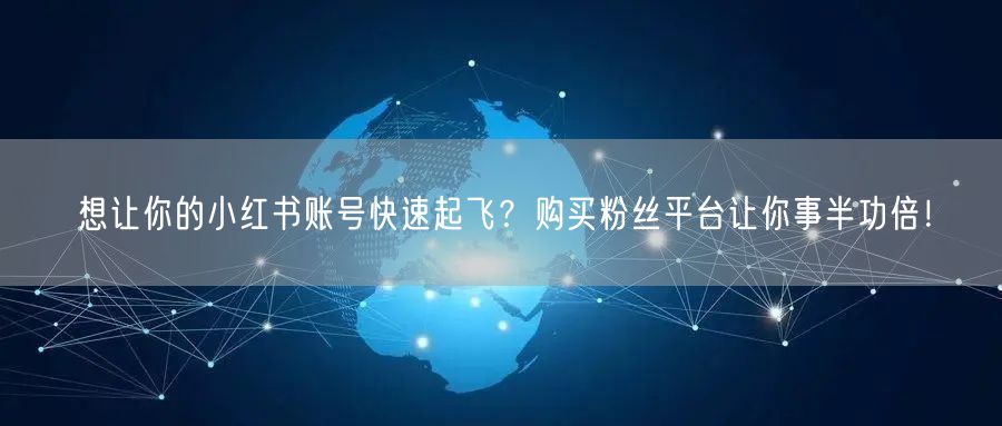 想让你的小红书账号快速起飞？购买粉丝平台让你事半功倍！