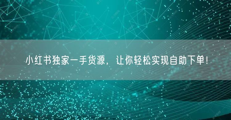 小红书独家一手货源，让你轻松实现自助下单！