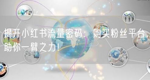揭开小红书流量密码：购买粉丝平台，助你一臂之力！
