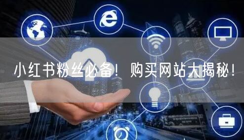小红书粉丝必备！购买网站大揭秘！