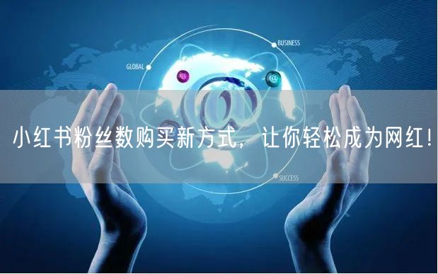 小红书粉丝数购买新方式，让你轻松成为网红！