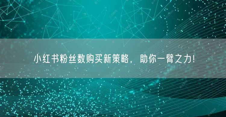 小红书粉丝数购买新策略，助你一臂之力！